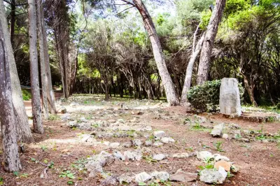 Cimetière musulman de Sainte-Marguerite : un lieu de mémoire en devenir