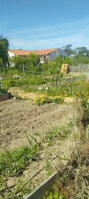 Concours d'épouvantails poétiques aux Jardins partagés des Ménonnières