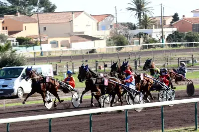 Courses de trot semi-nocturnes à l'hippodrome d'Hyères ce samedi