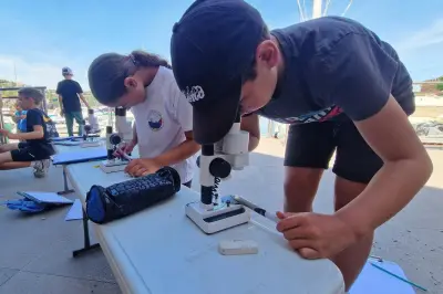 Des écoliers de Théoule-sur-Mer explorent le plancton en Aire Marine Éducative