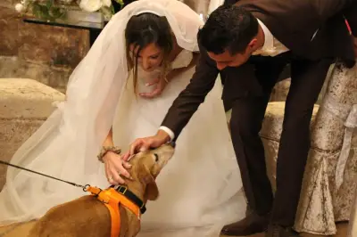 Dog wedding : un marché de niche pour chiens dans le Var et les Alpes-Maritimes