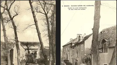 En 1911, à Mende, l'abattage des arbres de l'allée des Soupirs