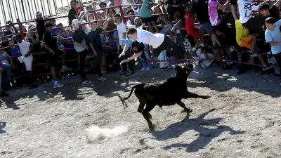 Feria d'Alès : la première animation vachette enflamme les berges du Gardon