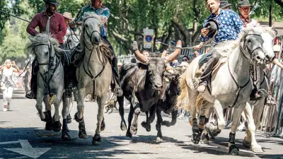 Feria de Nîmes 2026 : l'abrivado de la manade Devaux enflamme les allées Jean-Jaurès