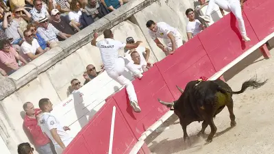 Feria de Nîmes : programme complet du jeudi 21 mai 2026