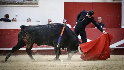 Feria Off de Béziers : Olsina et El Rafo qualifiés pour la finale