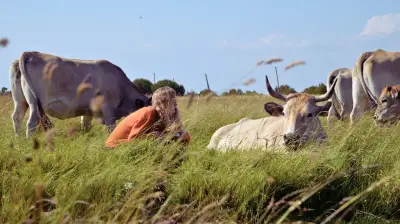 Festival Confit : art et gastronomie s'entremêlent dans le Vaucluse