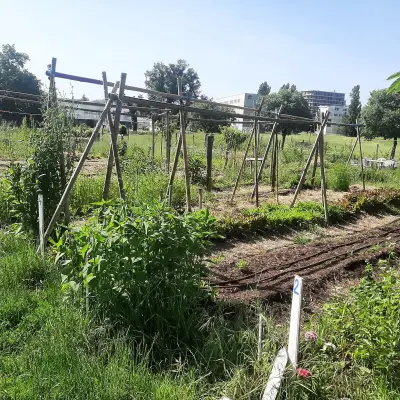 Festival Refuge : agro-naturalisme et solidarité étudiante à Pessac