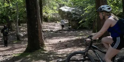 Forêt de Fontainebleau menacée par surfréquentation et parkings saturés