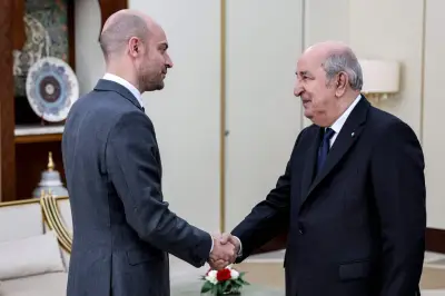 France-Algérie : 8 ans de relations houleuses, de 2017 à l'affaire Amir DZ