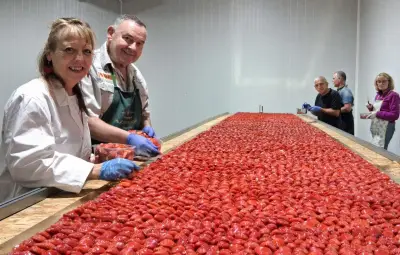 Fête de la fraise à Sainte-Bazeille : 10 000 personnes attendues
