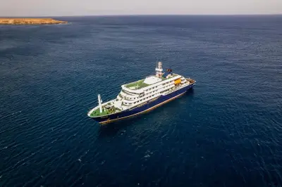 Hantavirus sur un bateau de croisière : deux cas confirmés, cinq suspectés