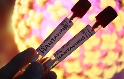 Hantavirus : une passagère française en soins intensifs, 22 cas contacts identifiés