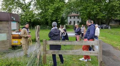 Initiation à l'apiculture : devenez apiculteur d'un jour au bois de Boulogne