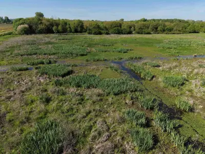 Inventaire des zones humides lancé sur 21 communes en Dordogne