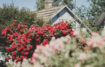 Jardin facile : 6 astuces pour moins travailler et mieux profiter