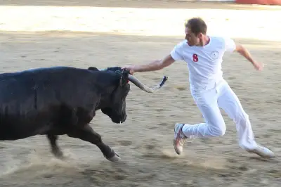 Journée taurine à Roquefort : concours de cocardes et repas animé