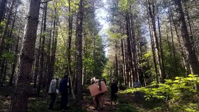 La forêt du Bougès à Cans-et-Cévennes remporte le SylvoTrophée 2026