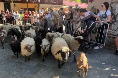 L'Arche de Grimaud : une ferme géante de 1500 m² au cœur du village