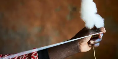 Le cours du coton s'envole, renchéri par le pétrole