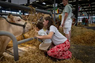Les vaches et moutons du Salon de l'agriculture envahissent la Foire de Bordeaux