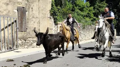 Lirac en fête : abrivado, bandido et animations le 23 mai