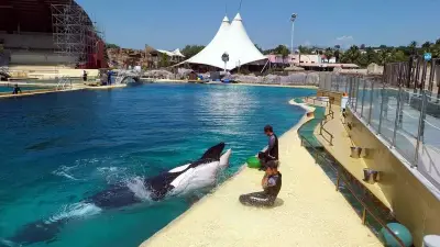 Marineland d'Antibes : l'association 