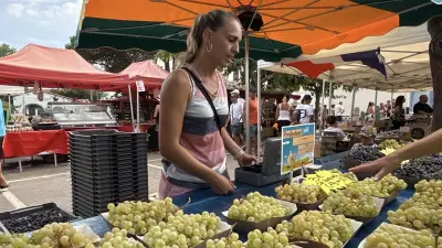 Marseillan-plage : le marché quotidien s'installe sur la place du Marché
