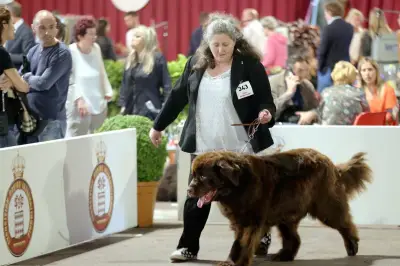 Monaco : 1.358 chiens de 258 races à l'Exposition canine internationale
