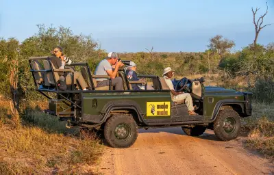 Parc Kruger: sécurité renforcée après le meurtre de deux touristes