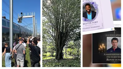 Passagers bloqués près de Nîmes, arbre 350 ans labellisé, fausses infos IA : l'actu régionale