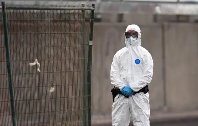 Pays-Bas : 12 soignants en quarantaine après une erreur de procédure face à un cas d'hantavirus