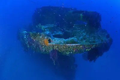 Plongeur disparu à Porquerolles : corps sans vie localisé au large