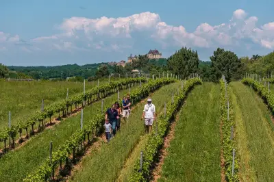 Portes ouvertes au domaine de la Tuque : vins bio et cépages anciens
