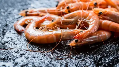 Rappel de crevettes Worldmarechal pour listeria dans les magasins Grand Frais et Fresh