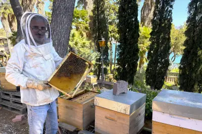 Reconversion d'un plombier en apiculteur passionné à Bois Sacré