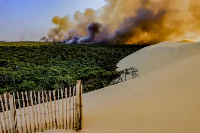 Retour sur les incendies géants de Gironde en juillet 2022