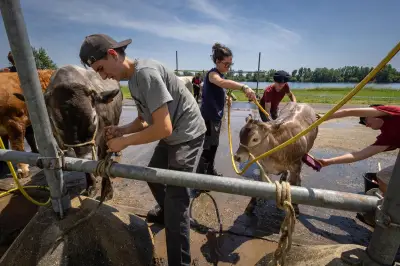 Salon de l'agriculture Nouvelle-Aquitaine : des lycéens passionnés par l'élevage