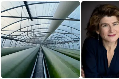 Startup niçoise Inalve : faillite malgré technologie aboutie et marché porteur