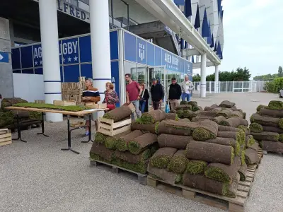 SU Agen vend sa pelouse historique à 10€ le m² pour passer au synthétique