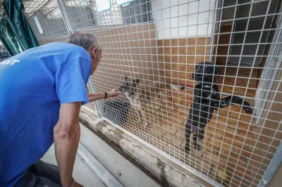 Subvention au refuge SPA de La Rochelle votée sans hausse du barème