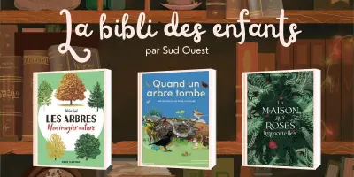 Trois livres jeunesse pour explorer la nature et ses mystères