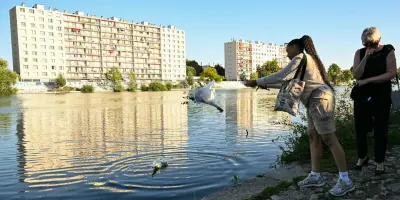 Tueur de Choisy : expertise conclut à l'abolition du discernement