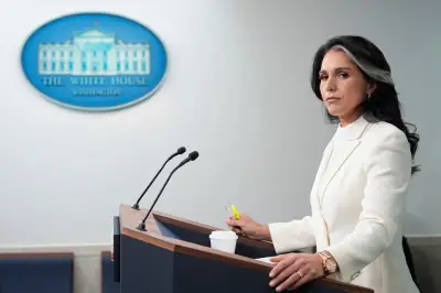 Tulsi Gabbard quitte l'administration Trump : démission du renseignement