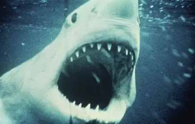 Un homme en armure se jette dans la gueule d'un requin : c'est une IA