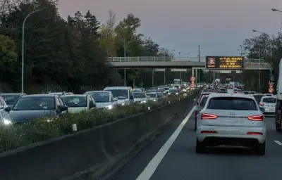 Un homme jugé pour avoir jeté deux chiens depuis un pont à Toulouse