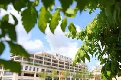 Vagues de chaleur : le refroidissement passif hybride pour adapter les villes