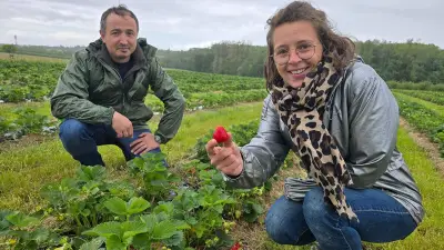 Val-de-Marne : la cueillette de Champlain rouvre enfin à La Queue-en-Brie