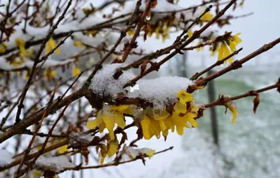 Week-end de l'Ascension : un temps anormalement froid et pluvieux