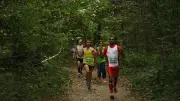 10 km de l'Unicef à Paris : parcours, tombola, participants, tout savoir